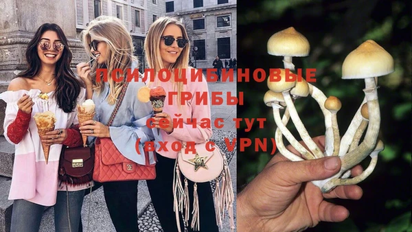 стафф Армянск
